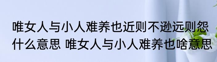 唯女人与小人难养也近则不逊远则怨什么意思 唯女人与小人难养也啥意思