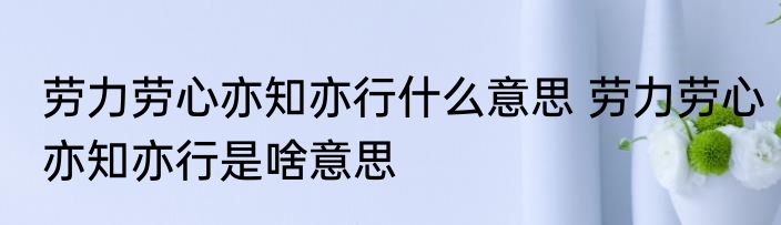 劳力劳心亦知亦行什么意思 劳力劳心亦知亦行是啥意思