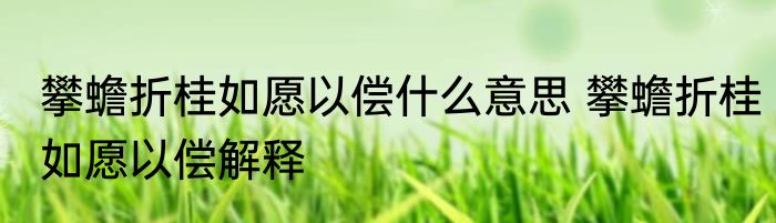 攀蟾折桂如愿以偿什么意思 攀蟾折桂如愿以偿解释