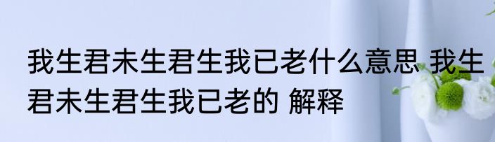 我生君未生君生我已老什么意思 我生君未生君生我已老的 解释