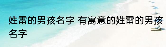 姓雷的男孩名字 有寓意的姓雷的男孩名字