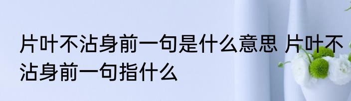 片叶不沾身前一句是什么意思 片叶不沾身前一句指什么