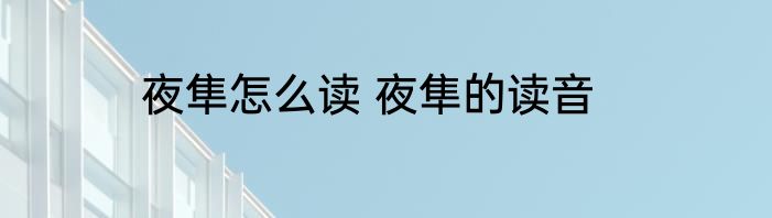 夜隼怎么读 夜隼的读音