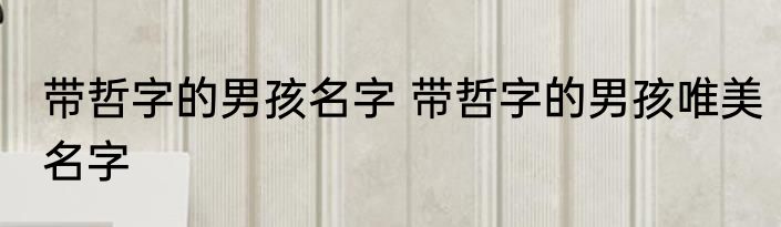 带哲字的男孩名字 带哲字的男孩唯美名字