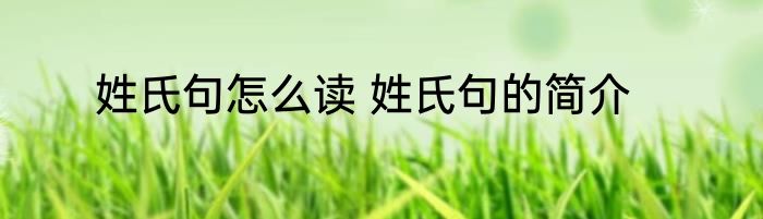 姓氏句怎么读 姓氏句的简介
