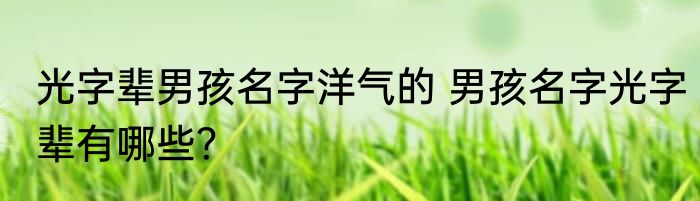 光字辈男孩名字洋气的 男孩名字光字辈有哪些？