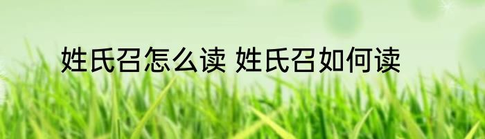 姓氏召怎么读 姓氏召如何读