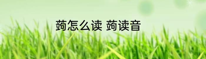蒟怎么读 蒟读音