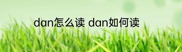 dan怎么读 dan如何读