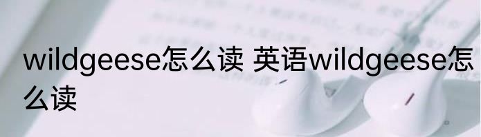 wildgeese怎么读 英语wildgeese怎么读