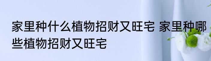 家里种什么植物招财又旺宅 家里种哪些植物招财又旺宅