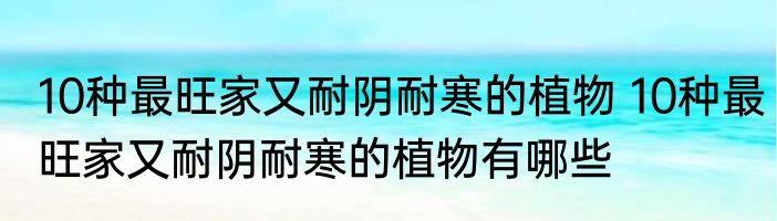 10种最旺家又耐阴耐寒的植物 10种最旺家又耐阴耐寒的植物有哪些