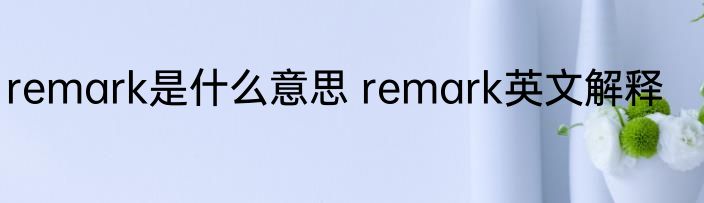 remark是什么意思 remark英文解释