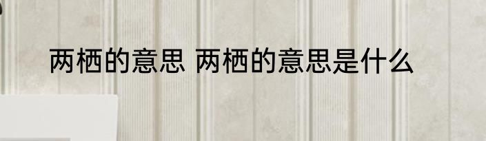 两栖的意思 两栖的意思是什么