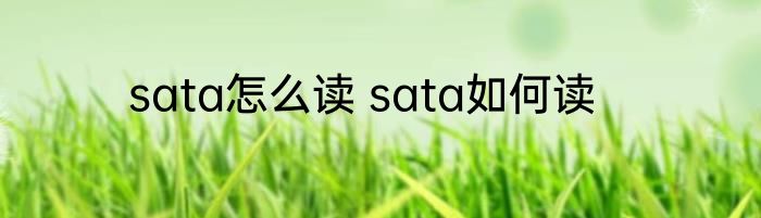 木字旁加会读什么 木字旁加会是什么字