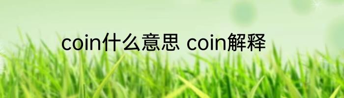 coin什么意思 coin解释