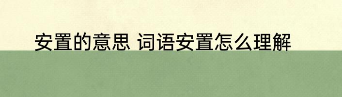 安置的意思 词语安置怎么理解