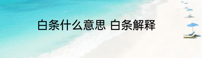 白条什么意思 白条解释