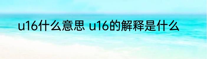 u16什么意思 u16的解释是什么