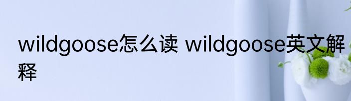 wildgoose怎么读 wildgoose英文解释