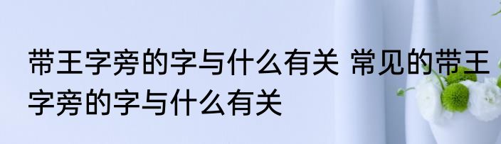 带王字旁的字与什么有关 常见的带王字旁的字与什么有关