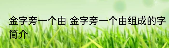 金字旁的字和什么有关 常见金字旁的字和什么有关