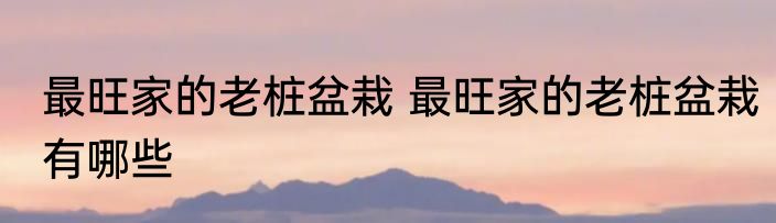 最旺家的老桩盆栽 最旺家的老桩盆栽有哪些