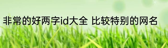 非常的好两字id大全 比较特别的网名