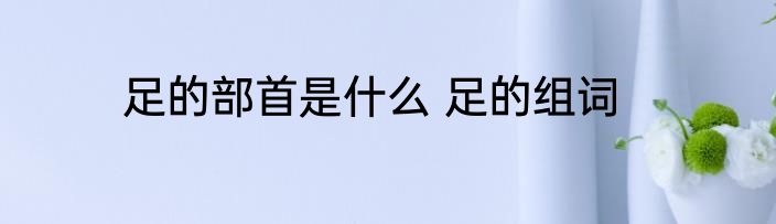 足的部首是什么 足的组词