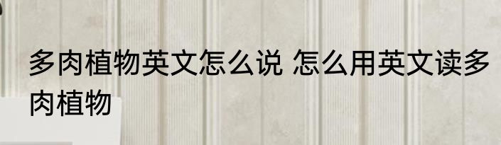 多肉植物英文怎么说 怎么用英文读多肉植物
