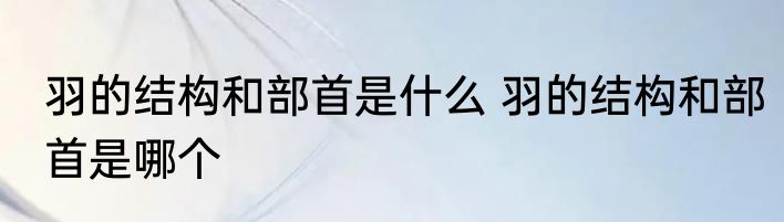鱼部首是什么 关于鱼的部首