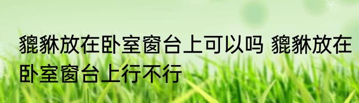 貔貅放在卧室窗台上可以吗 貔貅放在卧室窗台上行不行