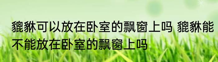 貔貅可以放在卧室的飘窗上吗 貔貅能不能放在卧室的飘窗上吗