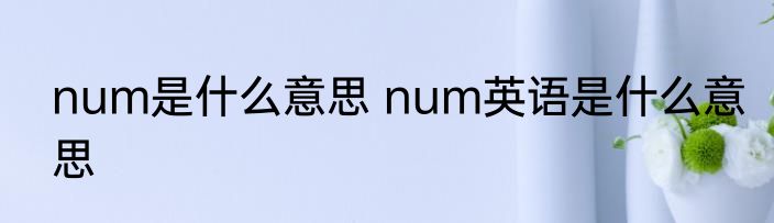 num是什么意思 num英语是什么意思