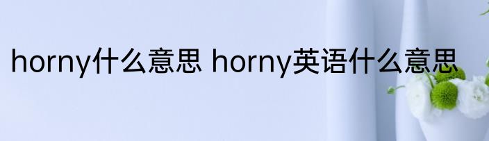 horny什么意思 horny英语什么意思
