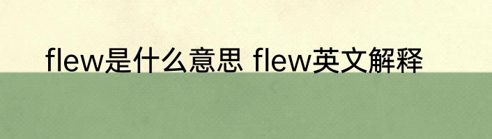 flew是什么意思 flew英文解释