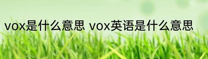 vox是什么意思 vox英语是什么意思