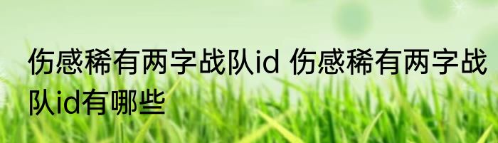 伤感稀有两字战队id 伤感稀有两字战队id有哪些