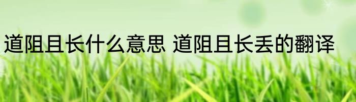 道阻且长什么意思 道阻且长丢的翻译