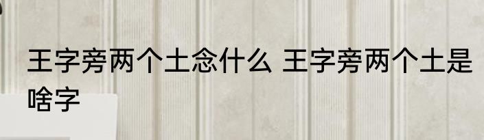 王字旁两个土念什么 王字旁两个土是啥字