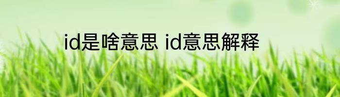 id是啥意思 id意思解释