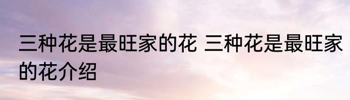 三种花是最旺家的花 三种花是最旺家的花介绍