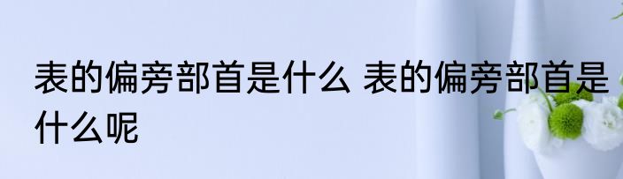 表的偏旁部首是什么 表的偏旁部首是什么呢