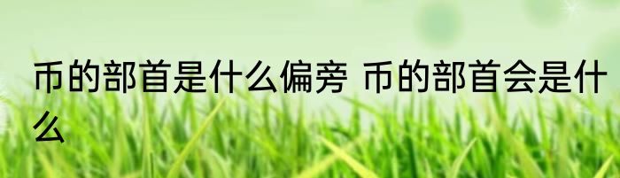币的部首是什么偏旁 币的部首会是什么
