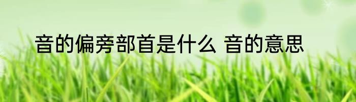 音的偏旁部首是什么 音的意思