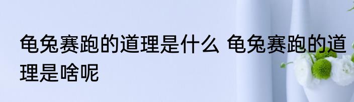 龟兔赛跑的道理是什么 龟兔赛跑的道理是啥呢