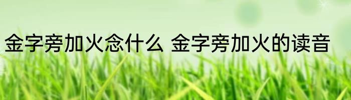 金字旁加火念什么 金字旁加火的读音