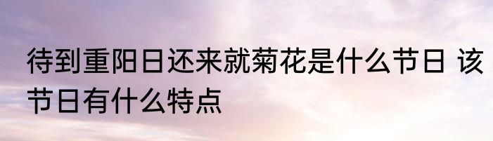 待到重阳日还来就菊花是什么节日 该节日有什么特点