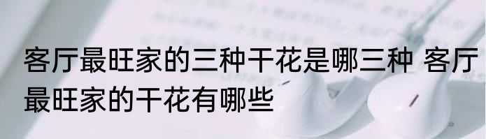 客厅最旺家的三种干花是哪三种 客厅最旺家的干花有哪些