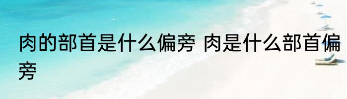 肉的部首是什么偏旁 肉是什么部首偏旁